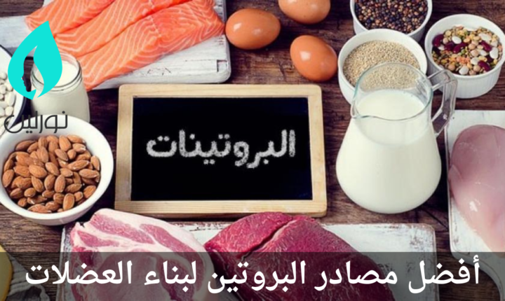 أفضل مصادر البروتين لبناء العضلات