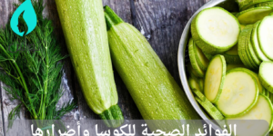 الفوائد الصحية للكوسا وأضرارها