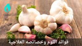 فوائد الثوم وخصائصه العلاجية