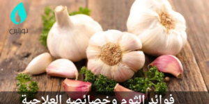 فوائد الثوم وخصائصه العلاجية