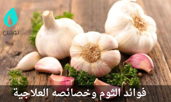 فوائد الثوم وخصائصه العلاجية