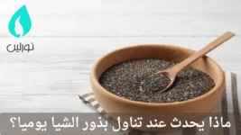 ماذا يحدث عند تناول بذور الشيا يومياً؟