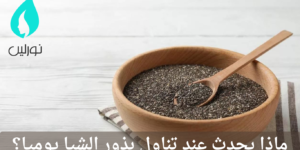 ماذا يحدث عند تناول بذور الشيا يومياً؟